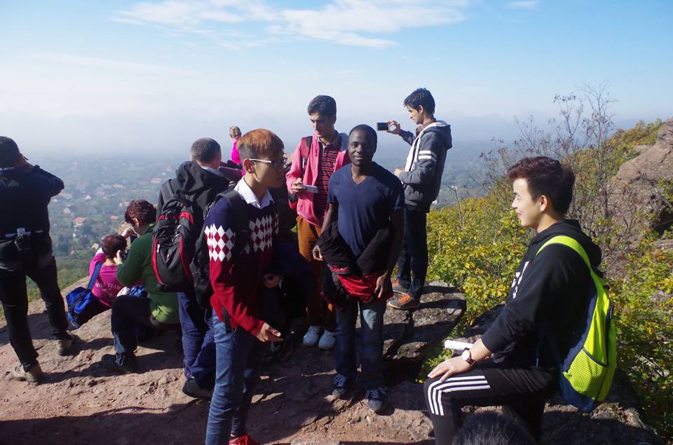 tour in the forest