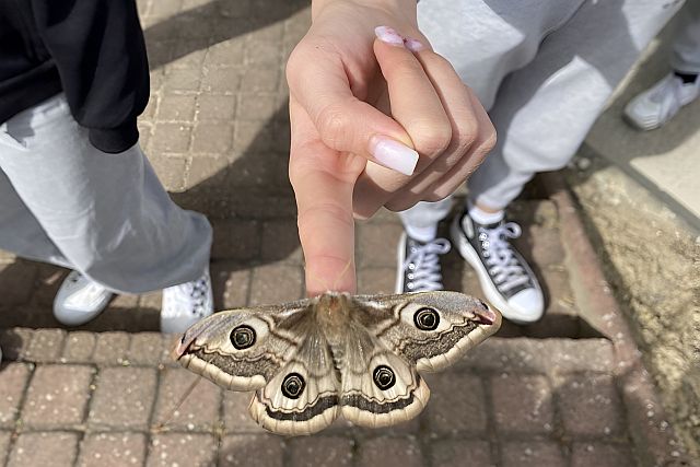 Szakmai tanulmányút Bátaapátiba