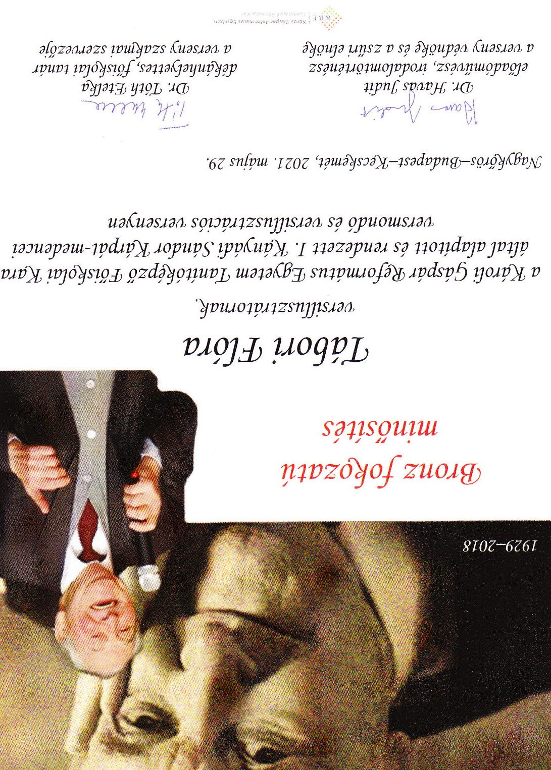 Tábori Flóra