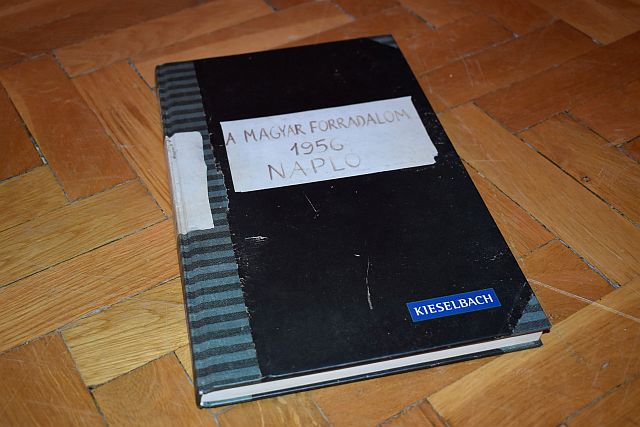 Napló.
