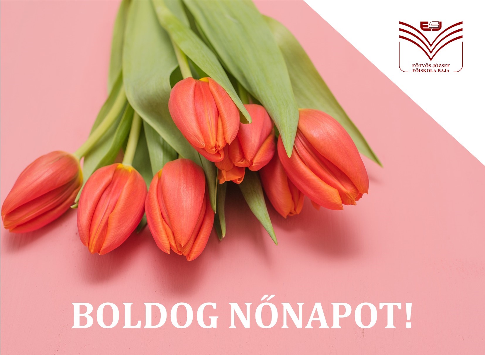 Boldog nőnapot!